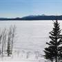 Marsh Lake