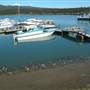 Marsh Lake Marina