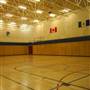 Robert Service School