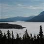 Tagish Lake May