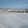 Yukon Wildlife Preserve