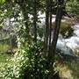 Wolf Creek Campground