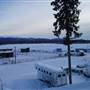 Winter Farms