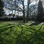 Hayes Old Rectory Gardens