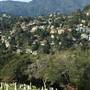 Fernwood Cemetery