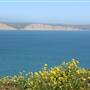 Drakes Bay Beach