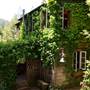 Vintage 1920's Home on 5 Forested Acres