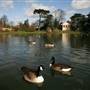 Gunnersbury Park - Temple and Pond