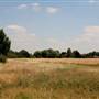 Hanworth Park