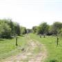 Hounslow Heath