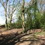 Hounslow Heath