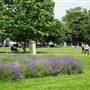 Turnham Green