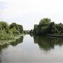 Dobbs Weir