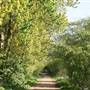 Fishers Green
