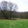 Arrandene Open Space