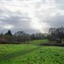 Arrandene Open Space