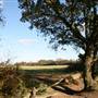 Scratchwood Nature Reserve
