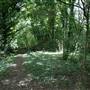 Welsh Harp Open Space