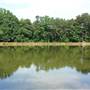 AKPsi Fishing Lake and Lodge