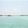 Zufaf Island- Mangrover جزيرة زفاف – غابة المانجرف