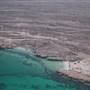 Coral Reef Near Sea- Farasan Island الشعاب المرجانية قرب البحر – أرخبيل فرسان
