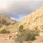 Beth'rah Mountain - جبل بِثرة