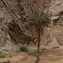 Wadi Tayyib Al Ism - وادي طيب اسم