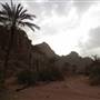 UQDAH - HAIL عقدة – حائل