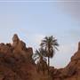 UQDAH - HAIL عقدة – حائل