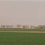 Green Circular Farms - Meegowa  - المزارع الدائرية الخضراء - ميقوع