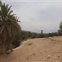 Well of Moses - عين موسى