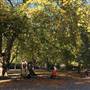 Coram's Fields
