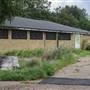 Gunnersbury Park - Disused Area