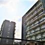 Vauxhall Gardens Estate