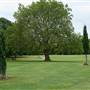 Victoria Park