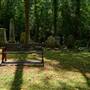 Nunhead Cemetery