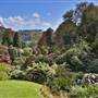 Trebah Gardens
