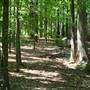 Lucky Shoals Park