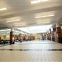 Discovery High School