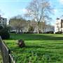 Albert Square