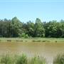Rabbit Hill Park