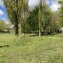 Ashburton Park