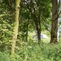Lee Valley Almost Wild Campsite