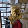 The Prop Shop