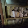 Basement for Crazies