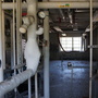 Mad Scientist Lair - Bell Works