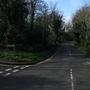Warren Road