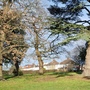 Crease Park