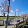 Colindale Gardens