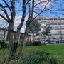 Muriel Street Estate